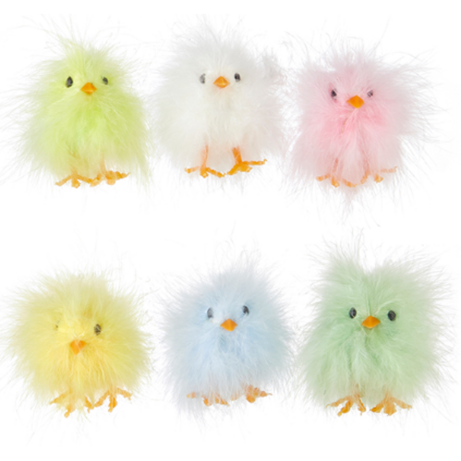 Individual Fluffy Chicks