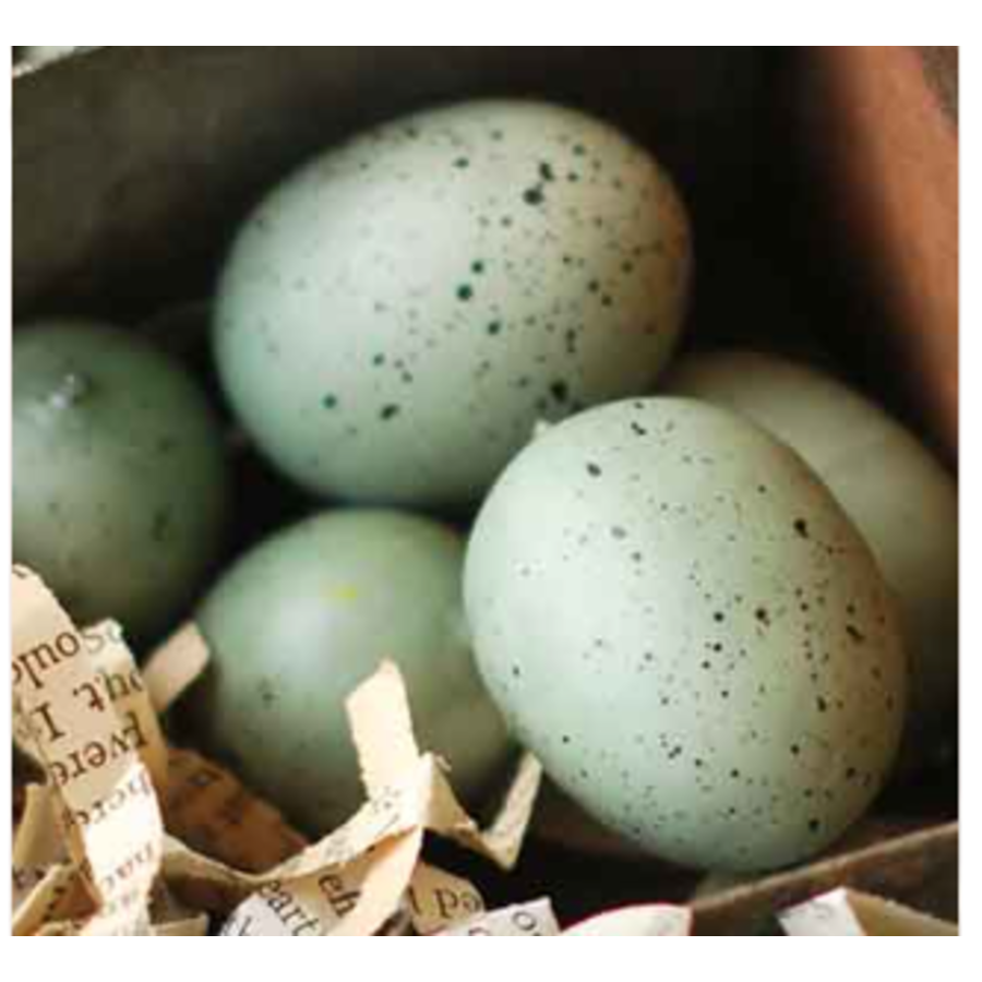 Nifty Nested Eggs in Bag