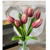14.5" Aurora Tulips