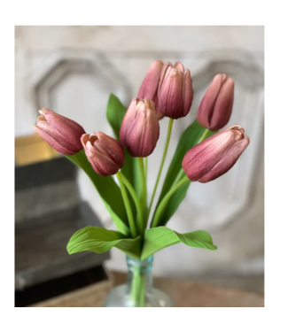 14.5" Aurora Tulips