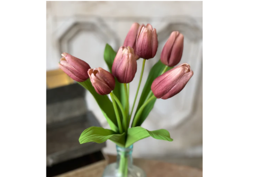  14.5" Aurora Tulips 