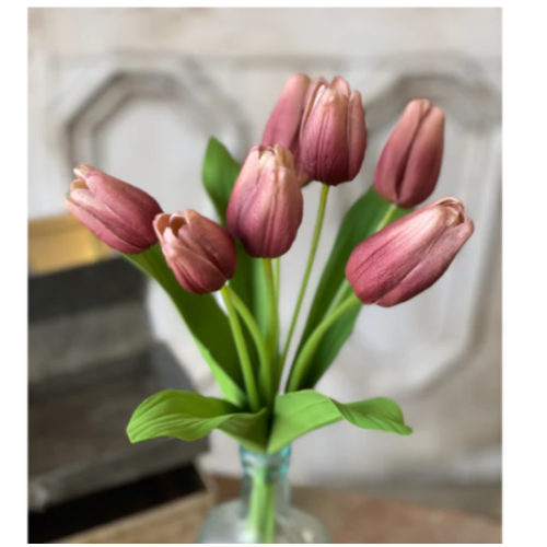  14.5" Aurora Tulips 