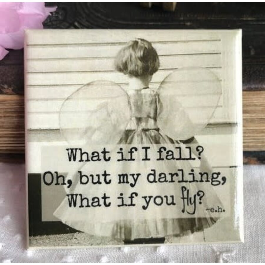 What If You Fly Magnet