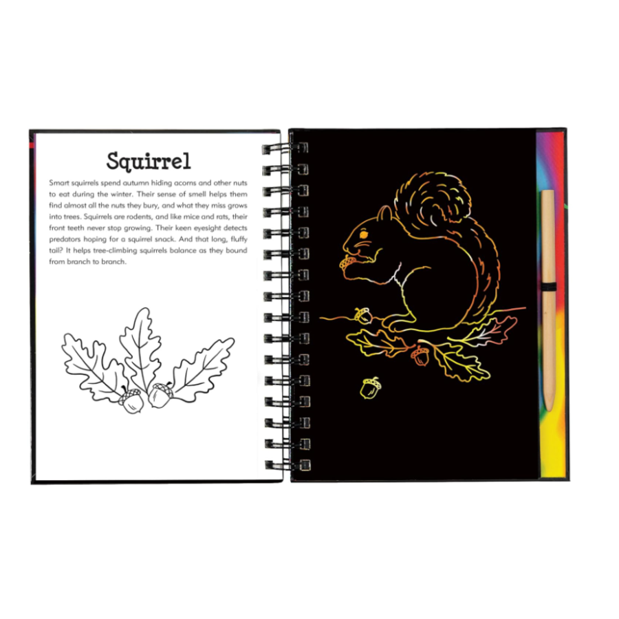 Scratch & Sketch Forest Friends