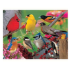 Backyard Birds Puzzle 500 PC