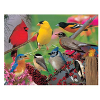 Backyard Birds Puzzle 500 PC