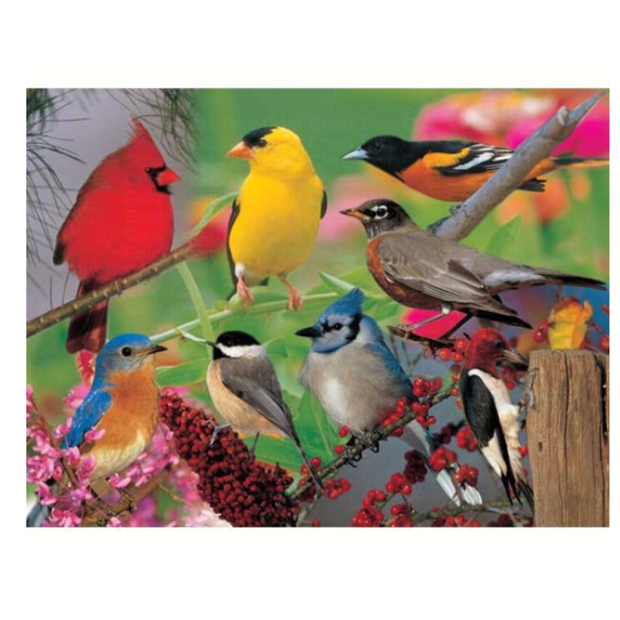 Backyard Birds Puzzle 500 PC
