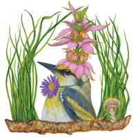 Harper Beverage Napkins