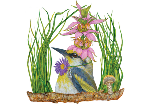  Paper Products Design Harper Beverage Napkins 