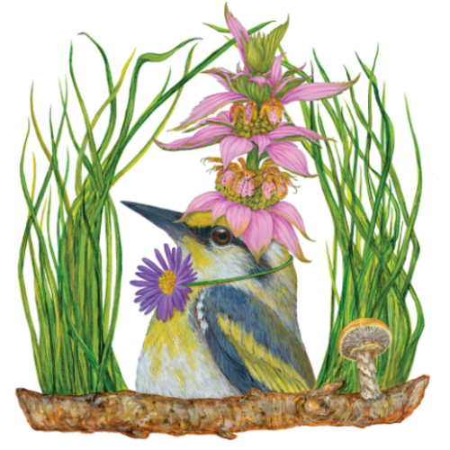  Paper Products Design Harper Beverage Napkins 