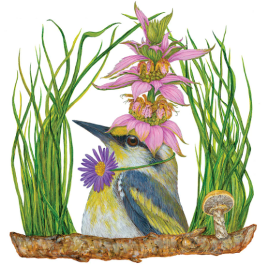 Harper Beverage Napkins