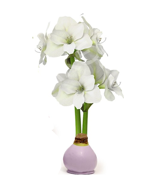 Bloomaker Lavender Bulb w/ White Blossoms