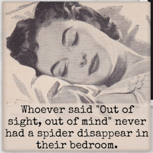  Raven's Rest Studio Out of Sight, Out of Mind Magnet 