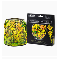 Luminary Lantern Tiffany Daffodils
