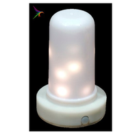LED Mini Magic Flame