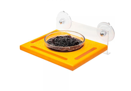  Orange Window Jelly Feeder 