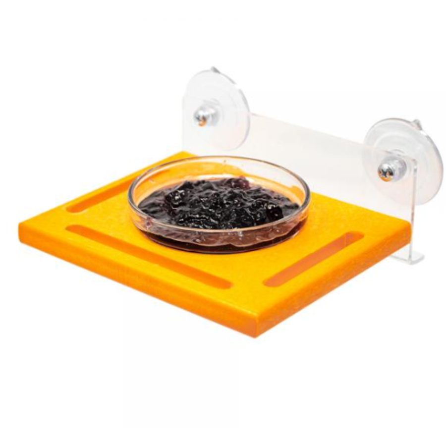 Orange Window Jelly Feeder