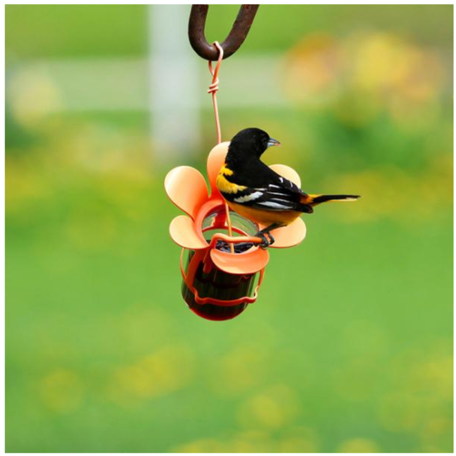 Jelly and Jam Feeder