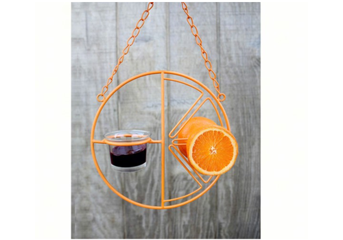  Clementine Oriole Feeder 