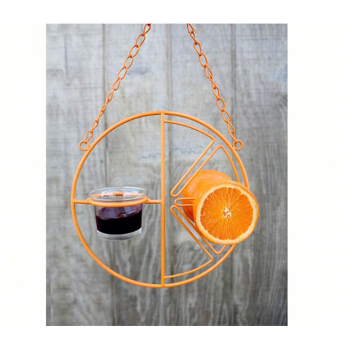  Clementine Oriole Feeder 