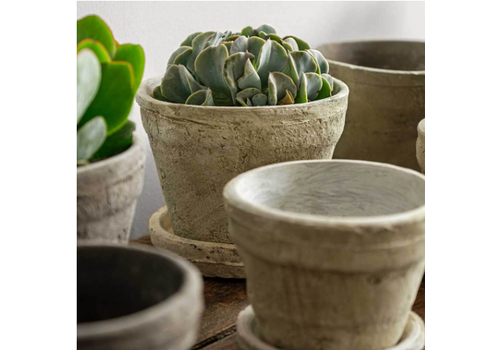  Campania International Small Farmer's Pot with Saucer 