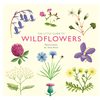 The Little Guide to Wildflowers