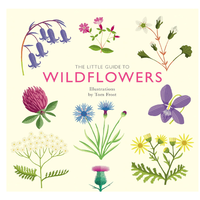 The Little Guide to Wildflowers