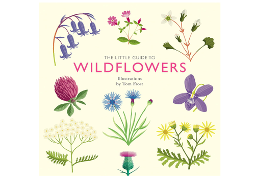  The Little Guide to Wildflowers 