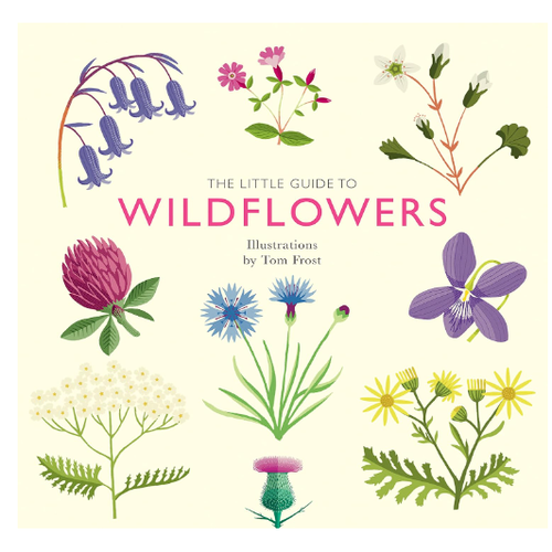  The Little Guide to Wildflowers 