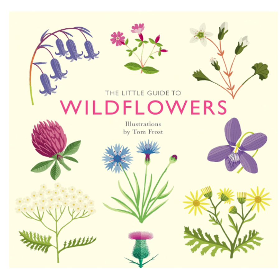The Little Guide to Wildflowers