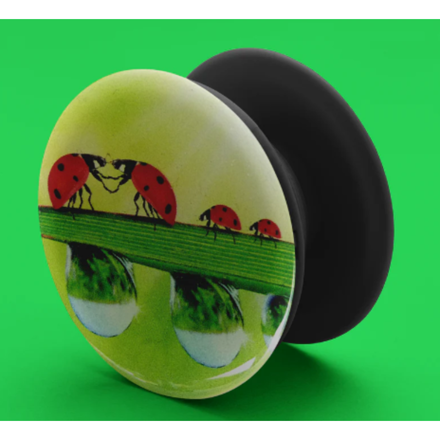 Phone Grip Ladybugs