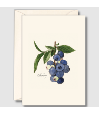 Earth sky water Blueberry Boxed Cards