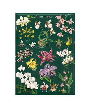 Cavallini Papers & Co Orchid Gift Wrap