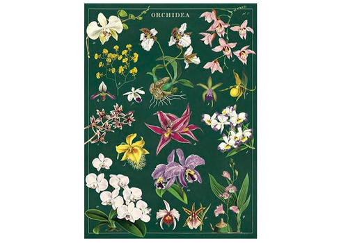  Cavallini Papers & Co Orchid Gift Wrap 