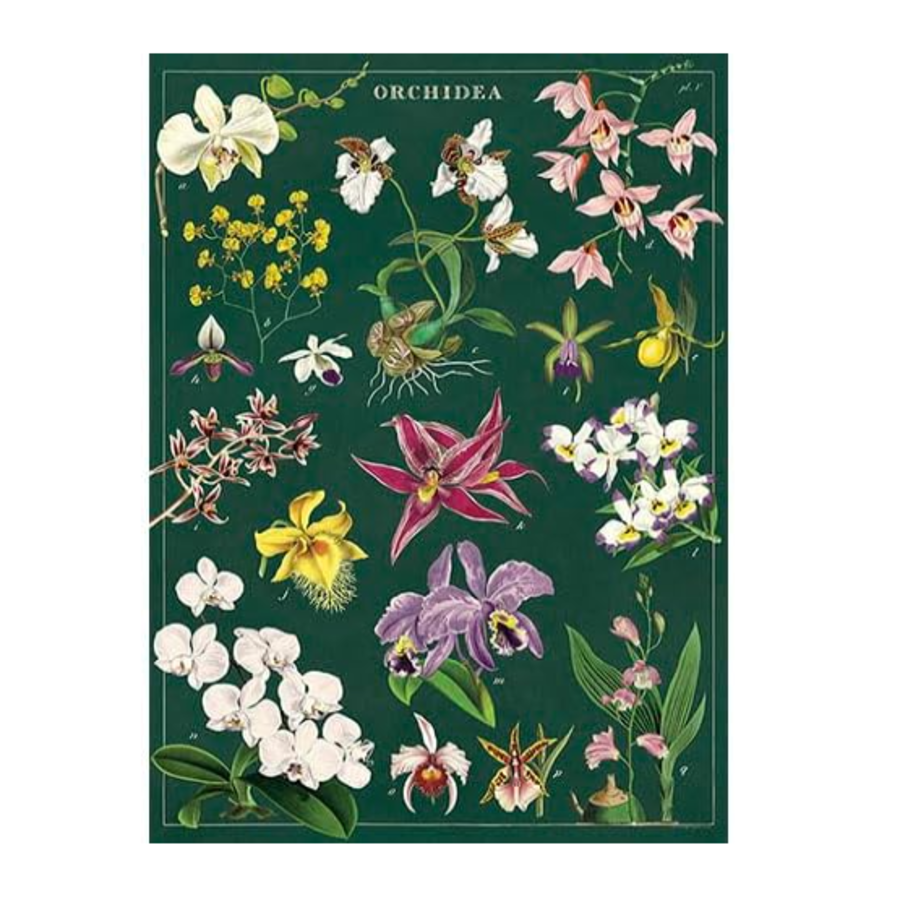 Orchid Gift Wrap