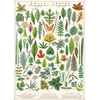 Cavallini Papers & Co Folia Leaves Gift Wrap Cavallini Papers & Co Folia Leaves Gift Wrap