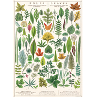 Folia Leaves Gift Wrap