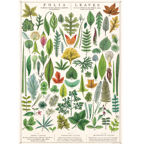  Cavallini Papers & Co Folia Leaves Gift Wrap 