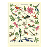 Cavallini Papers & Co Hummingbirds Gift Wrap