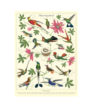 Cavallini Papers & Co Hummingbirds Gift Wrap