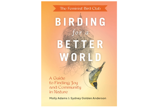  The Feminist Bird Club's Birding for a Better World 