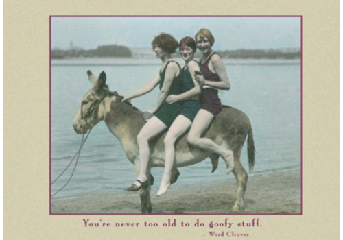  Sugarhouse Greetings Goofy Stuff Card 