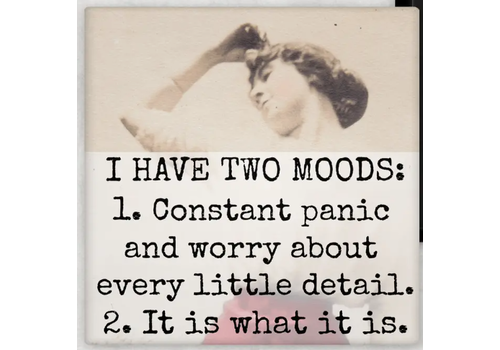  Raven's Rest Studio I Have Two Moods Magnet 