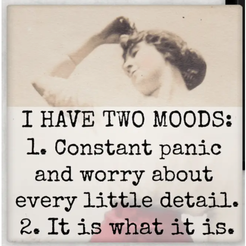  Raven's Rest Studio I Have Two Moods Magnet 