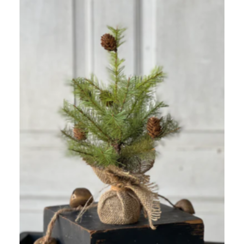  Greenup Pine Tree with Cones 