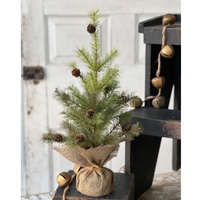 Greenup Pine Tree with Cones