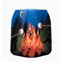 Luminary Lantern Campfire Marshmallows