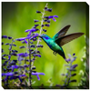 West of the Wind 24x24 Outdoor Art Hummingbird #7