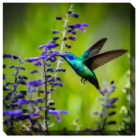 24x24 Outdoor Art Hummingbird #7