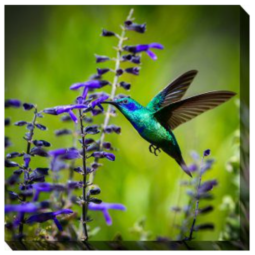West of the Wind 24x24 Outdoor Art Hummingbird #7   West of the Wind 24x24 Outdoor Art Hummingbird #7